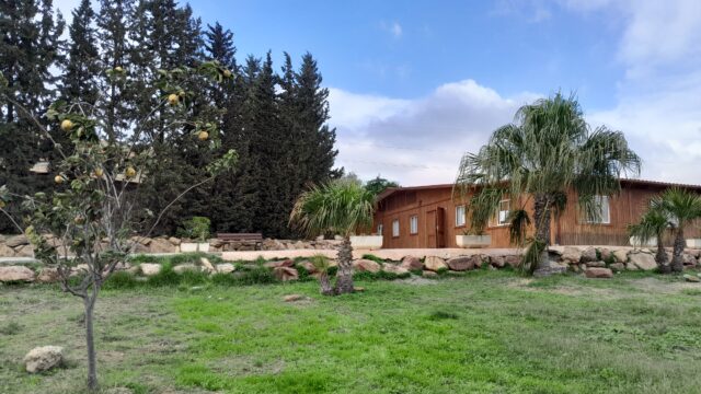 20241106_153548-Rachel-Sian-Evans