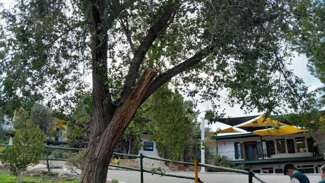 20241106_154129-Rachel-Sian-Evans