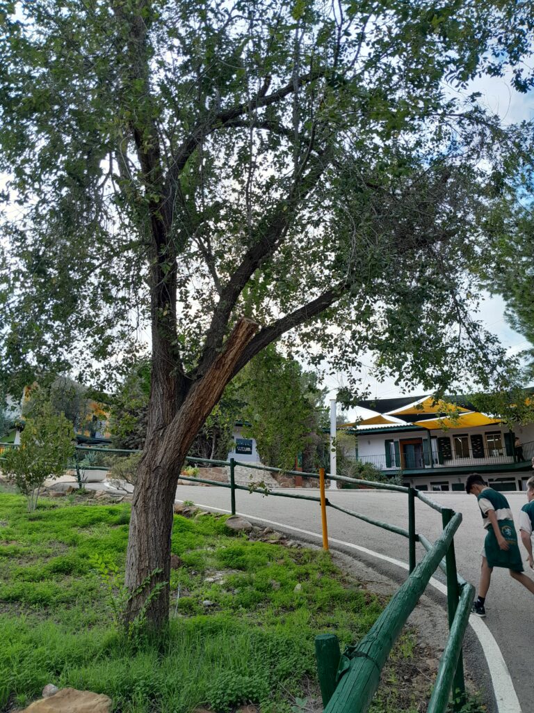 20241106_154129-Rachel-Sian-Evans