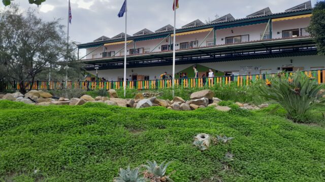 20241106_154344-Rachel-Sian-Evans