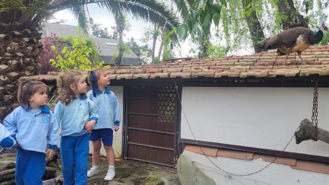 3-Escuela-Infantil-Mi-Pequena-Granja