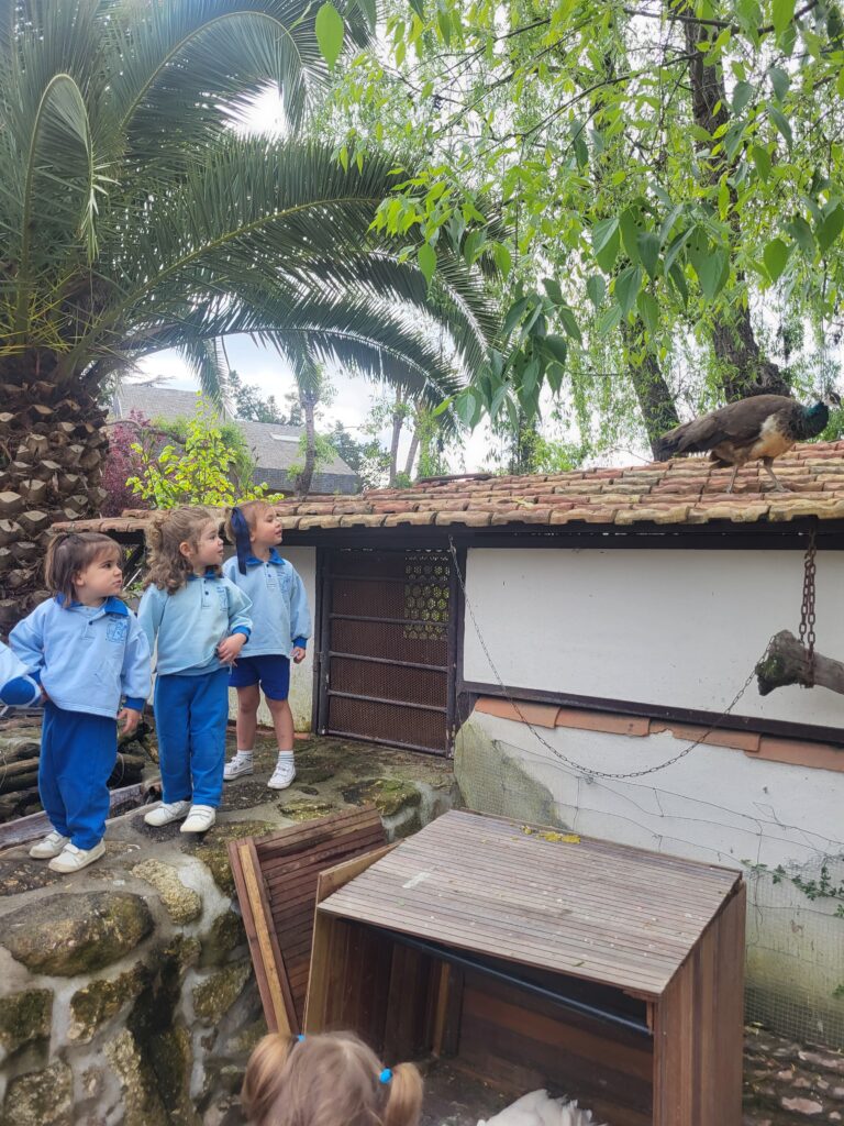 3-Escuela-Infantil-Mi-Pequena-Granja