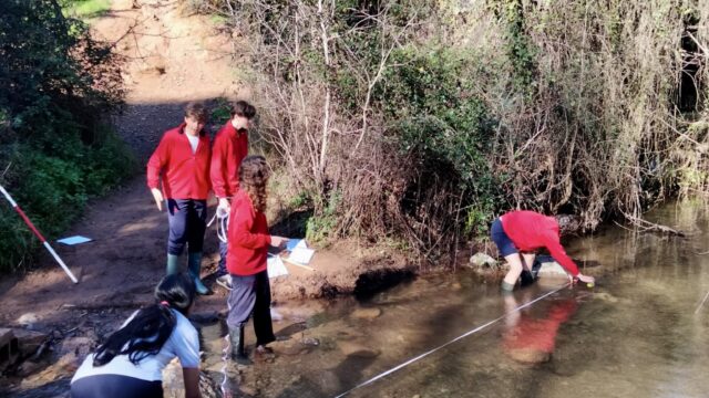 71ac71e6-33c7-4127-8e7f-97203296a842-Marian-Checa-Exposito