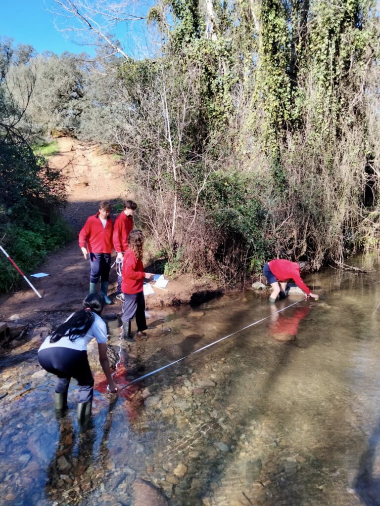 71ac71e6-33c7-4127-8e7f-97203296a842-Marian-Checa-Exposito