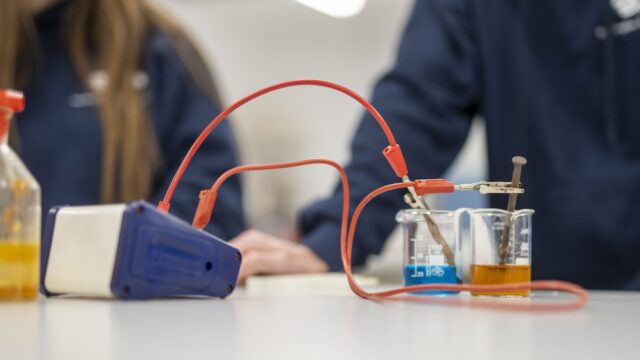 BSA-151-Melissa-Rodas