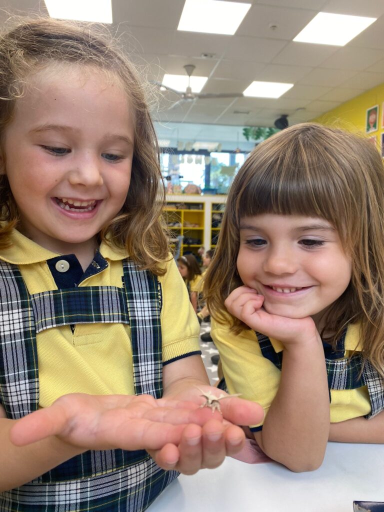 CLASSROOM-WhatsApp-Image-2025-05-27-at-21.42.31-Mabela-Ballester-Aliaga