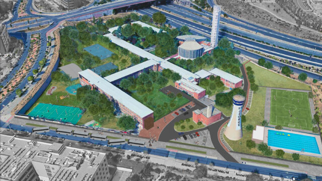 COLE-DE-MADRID-1-Irma-Moro-Alvarez