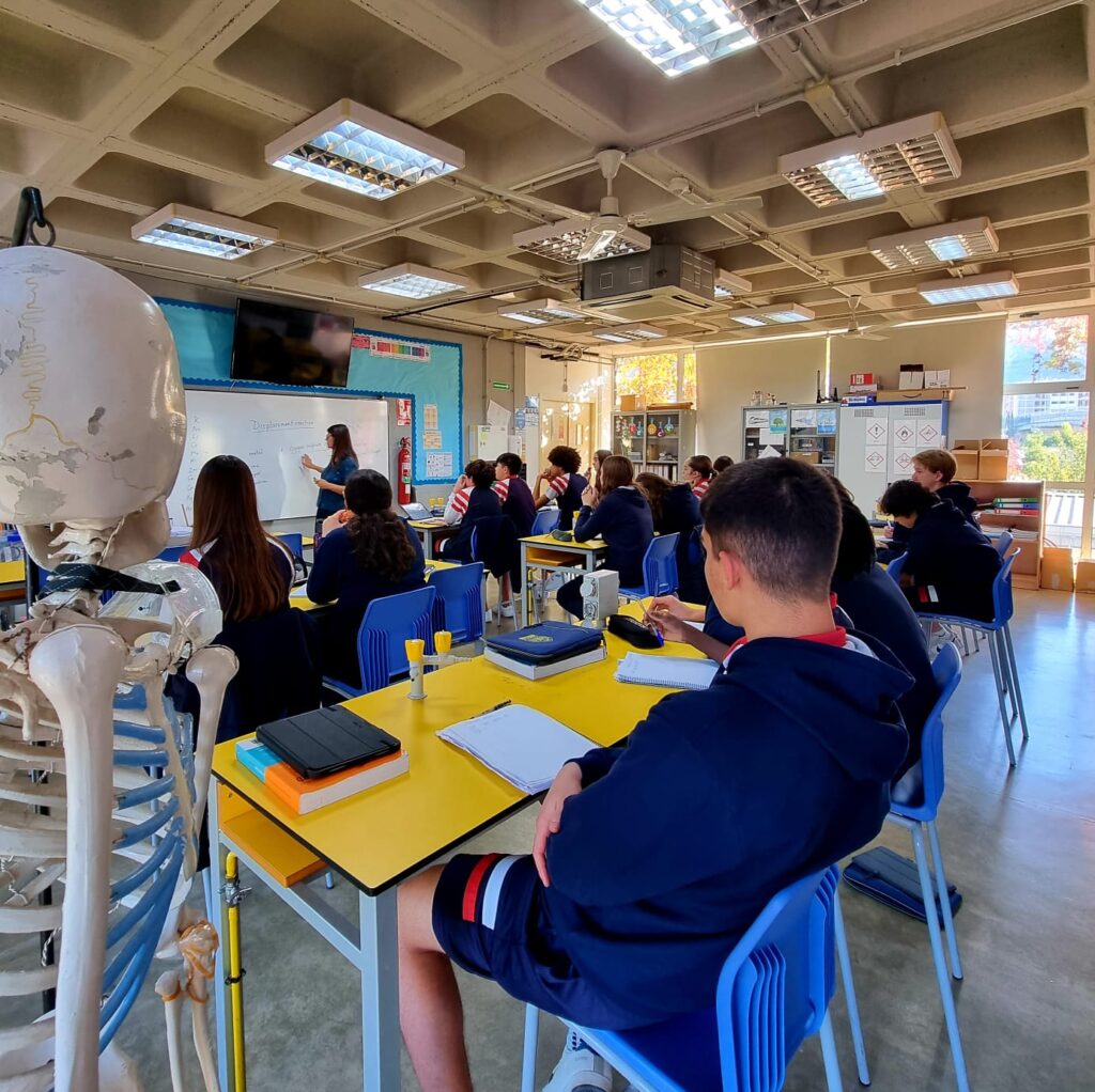 ENV-STU-WhatsApp-Image-2024-11-27-at-17.35.54-Mabela-Ballester-Aliaga