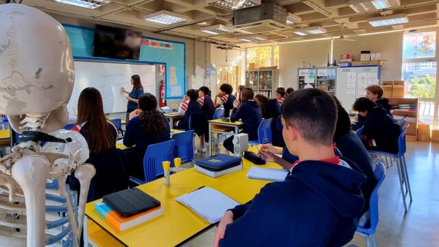 ENV-STU-WhatsApp-Image-2024-11-27-at-17.35.54-Mabela-Ballester-Aliaga