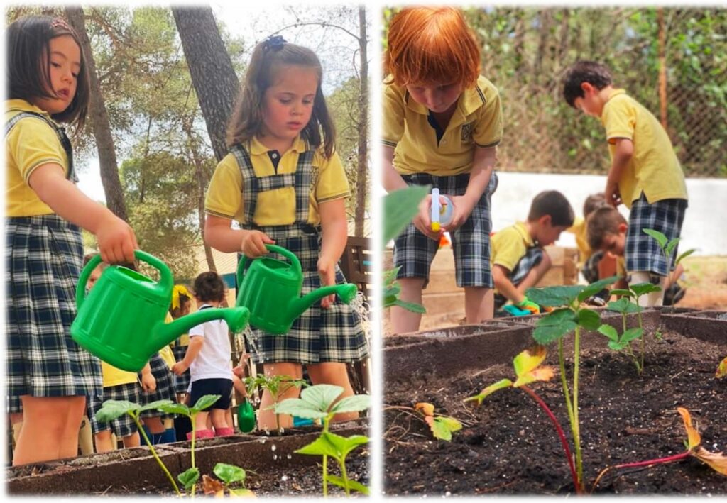 FOTOS-BSA-TEACHING-METHODOL-4_page-0001-Mabela-Ballester-Aliaga