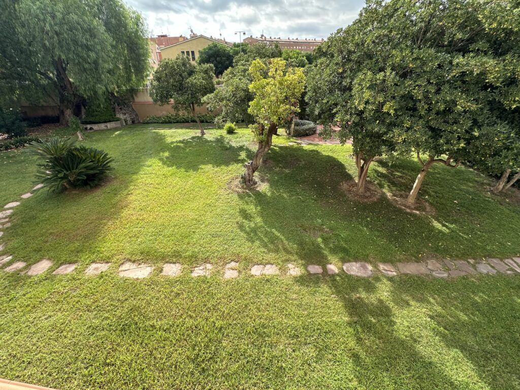 IMG_3394-Gemma-Izquierdo