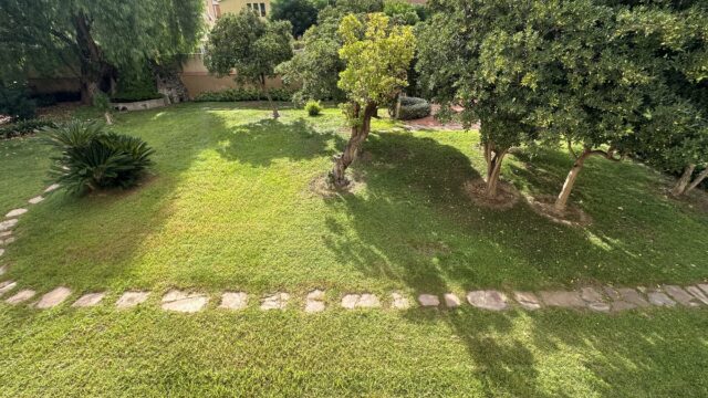 IMG_3394-Gemma-Izquierdo