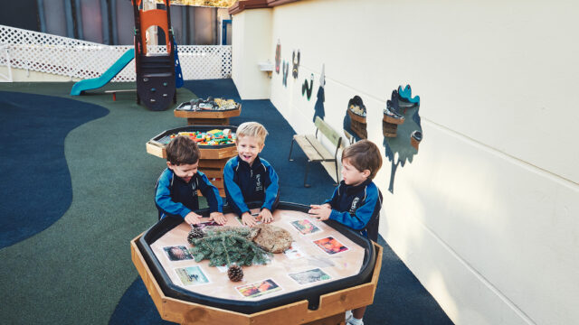 ISM-Infant5-Richard-Cook