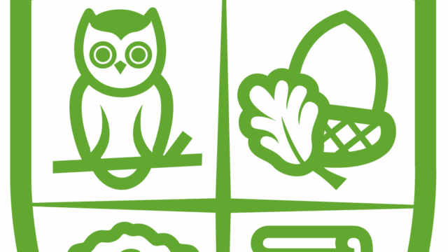 LOGO-PRINCIPAL-5-1-David-Morgan