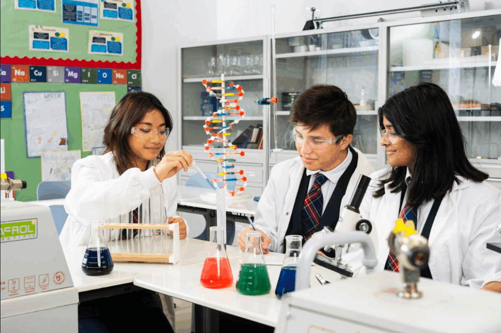 Labs-Teresa-Gomez-Regidor