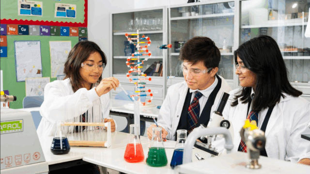 Labs-Teresa-Gomez-Regidor