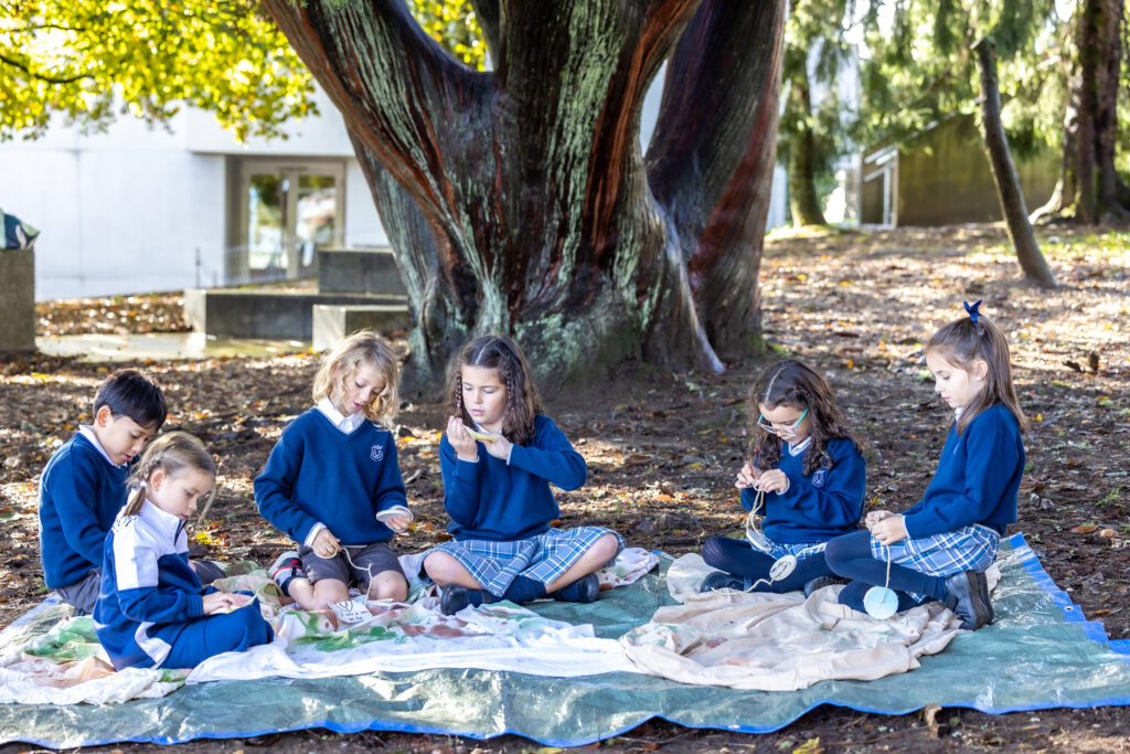 School-Environment-2-Berta-Martin