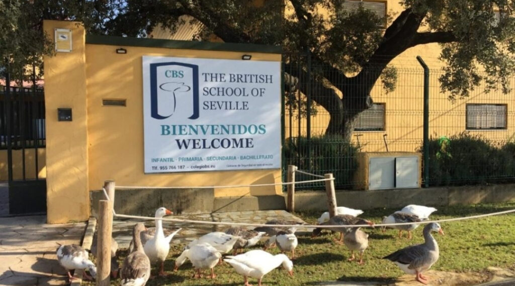 School-environment-Samantha-Clewer