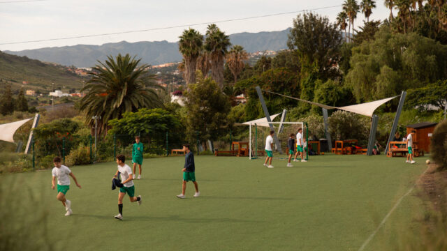 cacere0022-David-Morgan