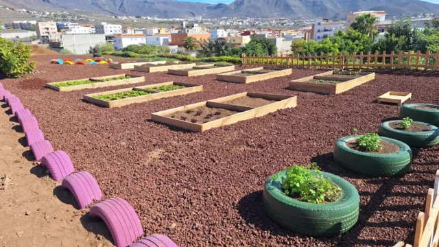 ecological-garden-02-Wingate-School