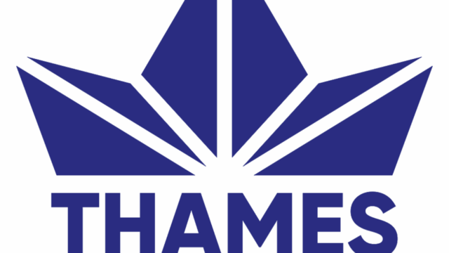 logo-TBS-2-Teresa-Gomez-Regidor