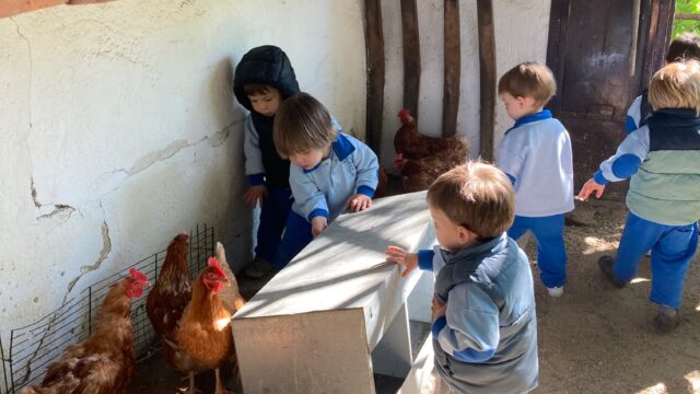 may55-Escuela-Infantil-Mi-Pequena-Granja