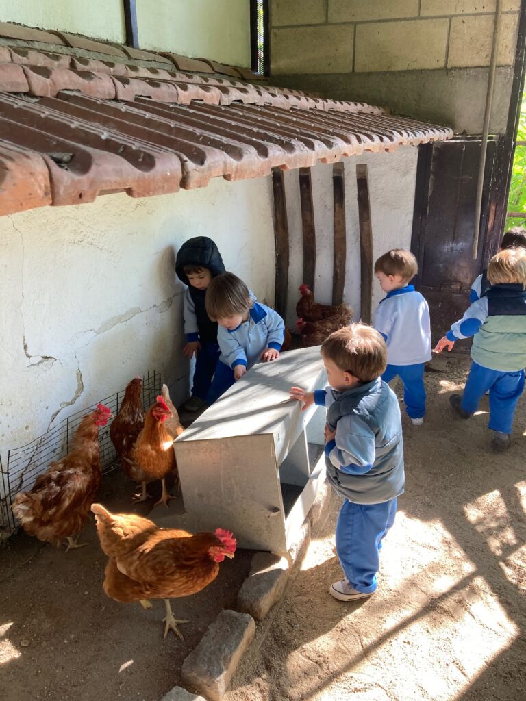 may55-Escuela-Infantil-Mi-Pequena-Granja