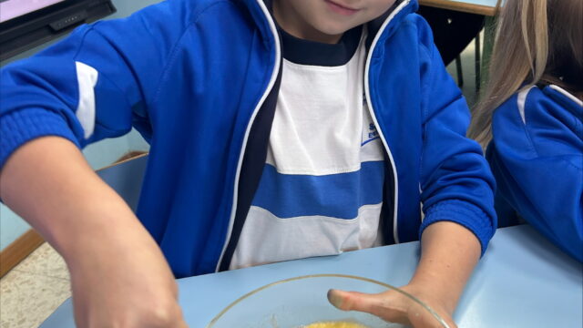 processed-6322020B-E6FE-4365-AE8A-B291ABBBDF2F-Teacher-ISE