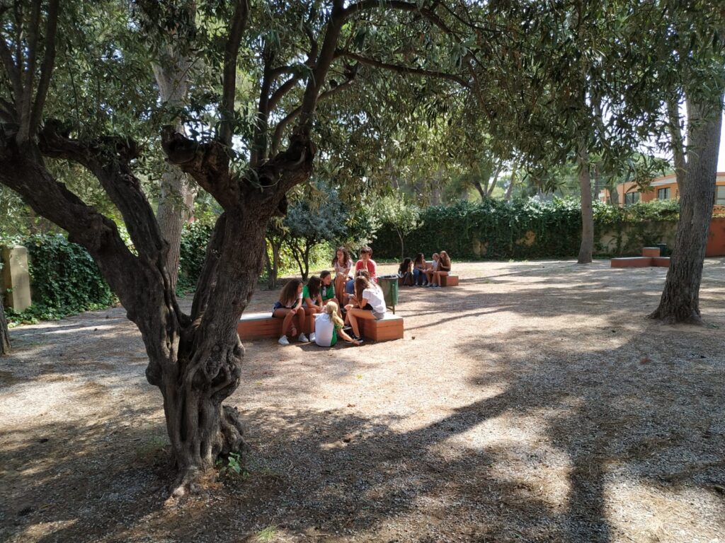 schoolEnviroment_01-Tony-Brown