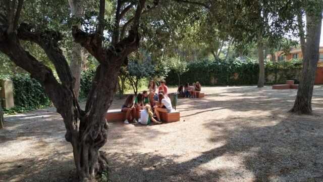 schoolEnviroment_01-Tony-Brown