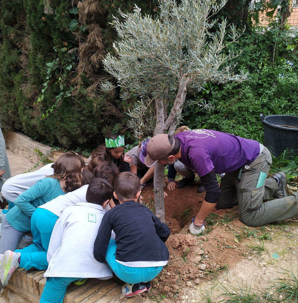 schoolEnviroment_03-Tony-Brown