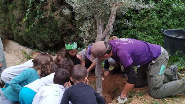 schoolEnviroment_03-Tony-Brown