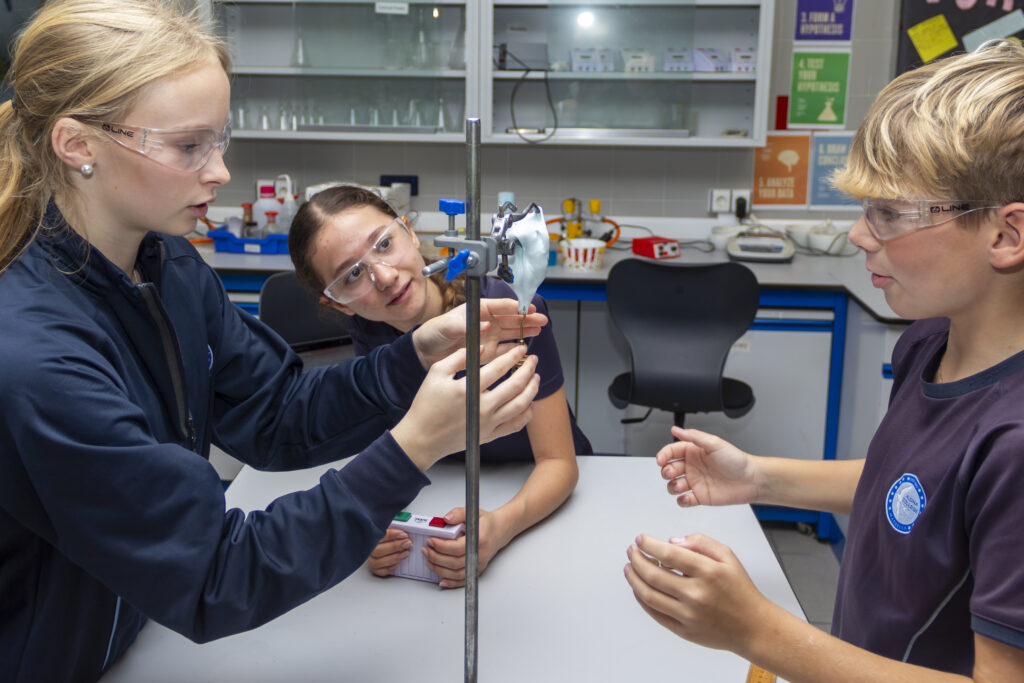 y7-2-Fatima-Fernandez