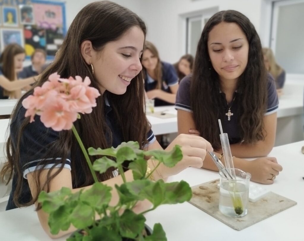 7383f6c8-4496-442a-9c86-8459bedf3663-1-Mrs.-C.-Madeley