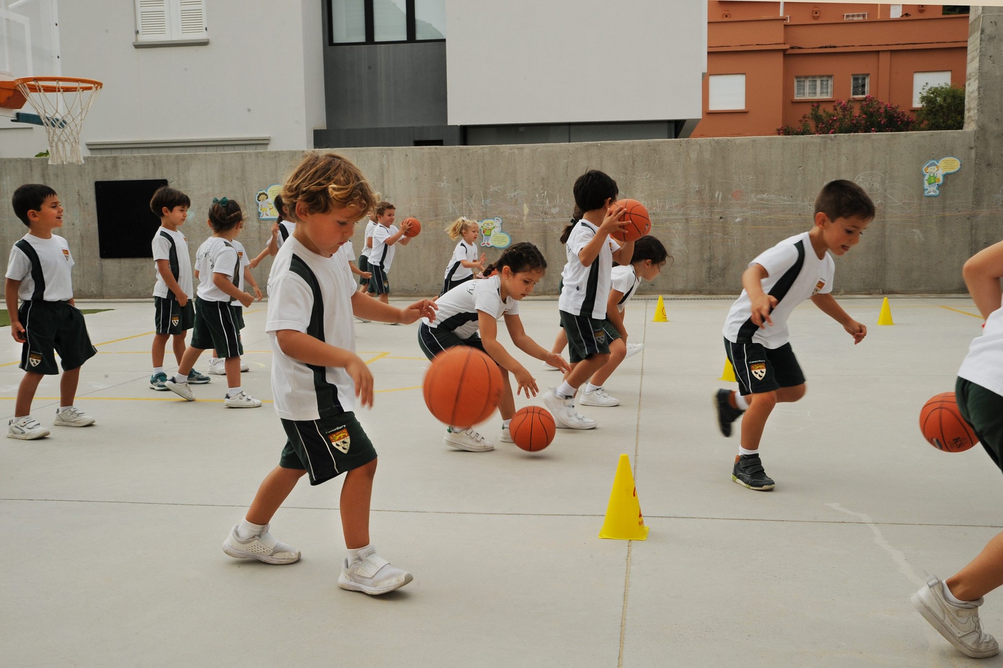 basket_milton_2-scaled-uai-2064×1376-Natalia-Garcia-Martin