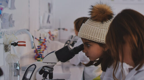 green-stone-science-lab_1-500×280-1