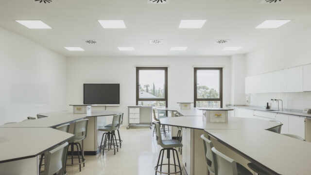 rsz_agv298-06-04_grupotec_madrid_colegio-tems-sopelana_j1a1823_hd-Paul-Collins