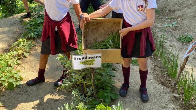 IMG-20210521-WA0036-International-Rural-School