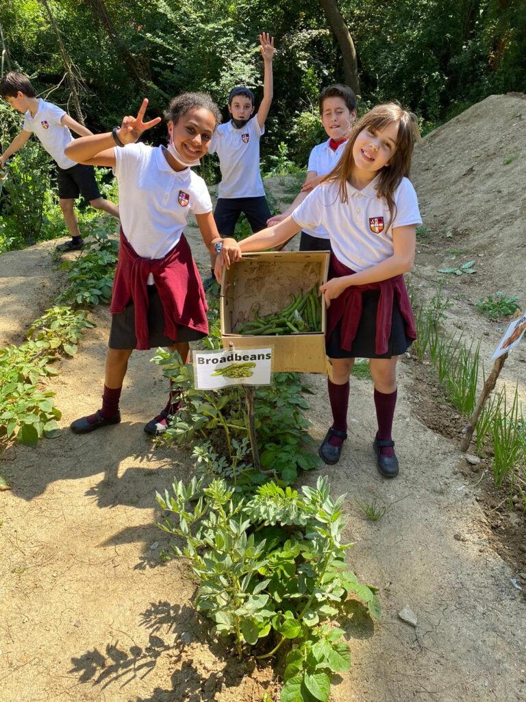 IMG-20210521-WA0036-International-Rural-School