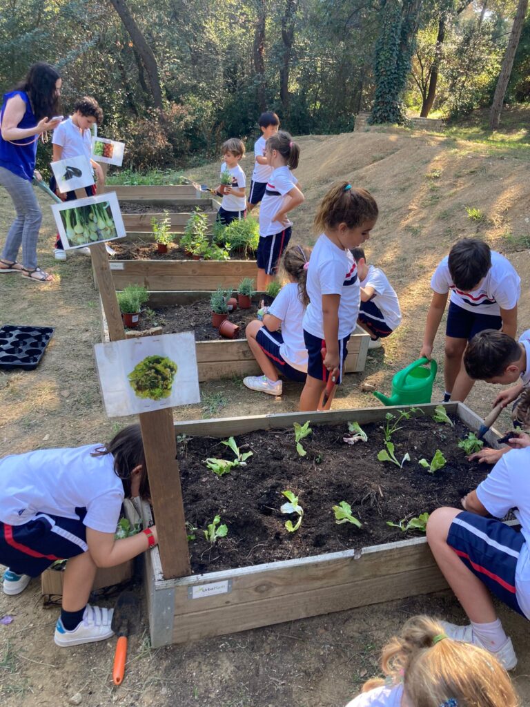 IMG-20230929-WA0030-1-International-Rural-School